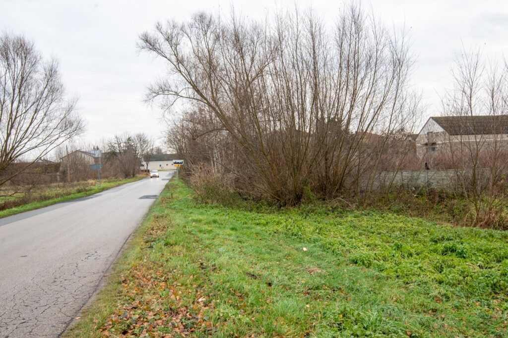 Nieruchomość z domem, gospodarstwem, lasem i polem - zdjęcie 12