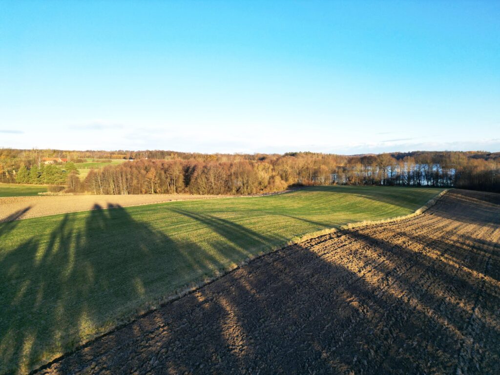 Działka z linia brzegową jeziora - zdjęcie 2