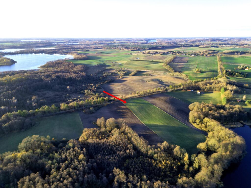 Działka z linia brzegową jeziora - zdjęcie 6