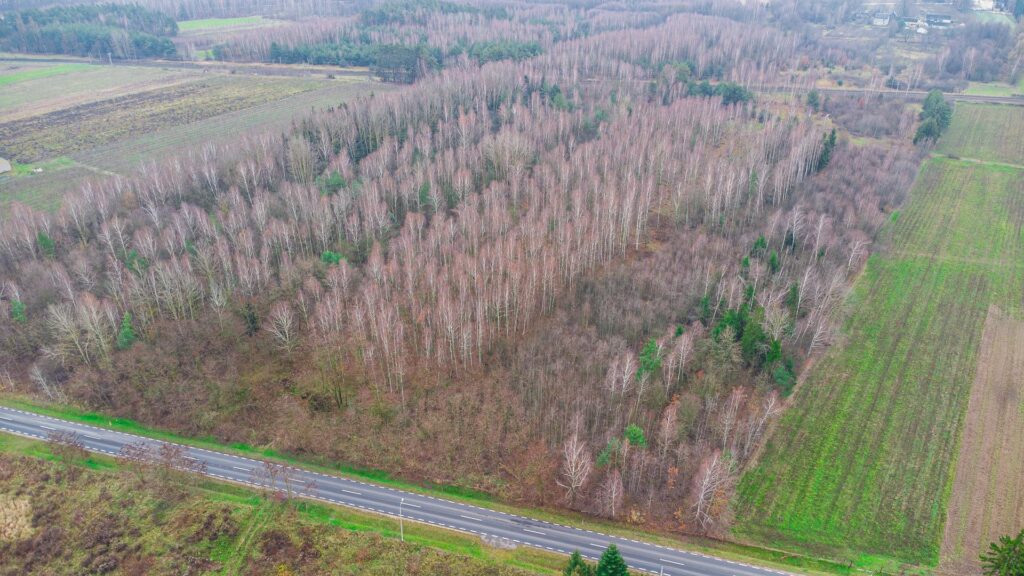 Działka 1,86 ha Suchostruga gmina Tarczyn - zdjęcie 12