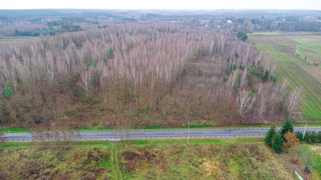 Działka 1,86 ha Suchostruga gmina Tarczyn - zdjęcie 16