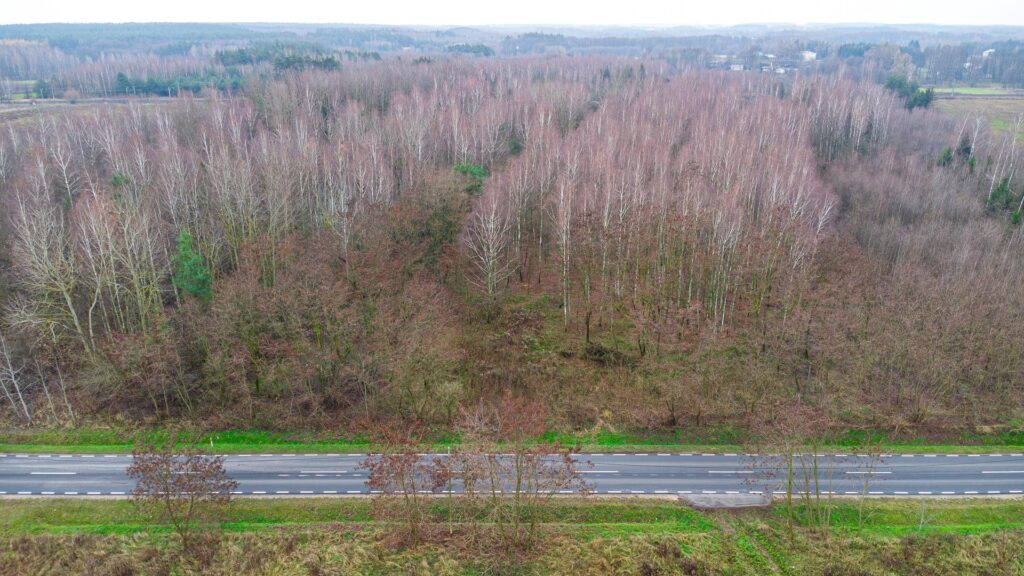 Działka 1,86 ha Suchostruga gmina Tarczyn - zdjęcie 17