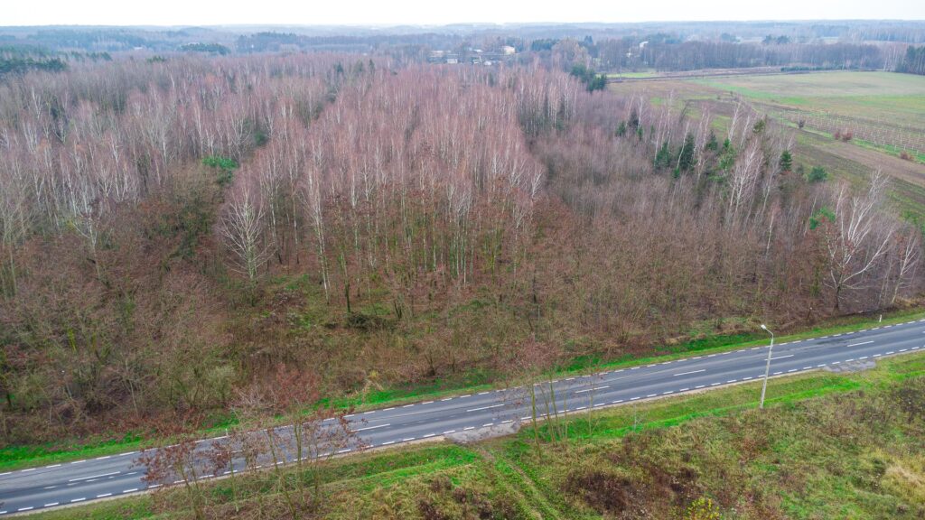 Działka 1,86 ha Suchostruga gmina Tarczyn - zdjęcie 18