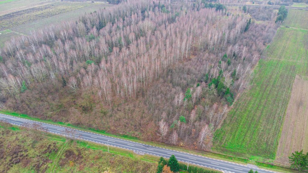 Działka 1,86 ha Suchostruga gmina Tarczyn - zdjęcie 19