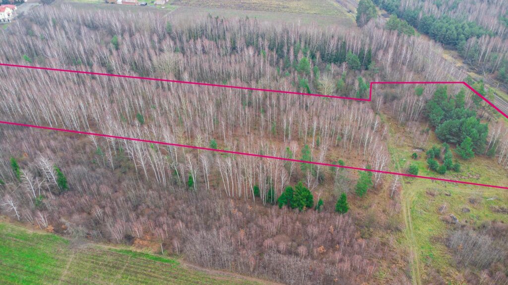 Działka 1,86 ha Suchostruga gmina Tarczyn - zdjęcie 5