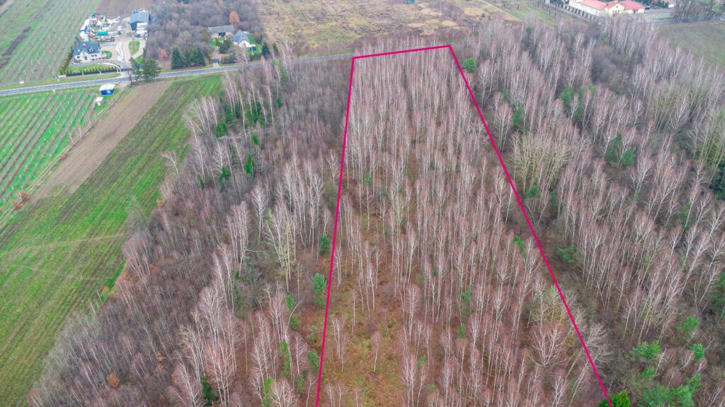 Działka 1,86 ha Suchostruga gmina Tarczyn - zdjęcie 6