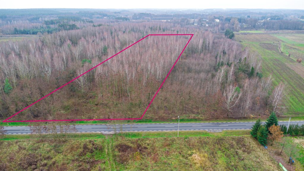 Działka 1,86 ha Suchostruga gmina Tarczyn - zdjęcie 7