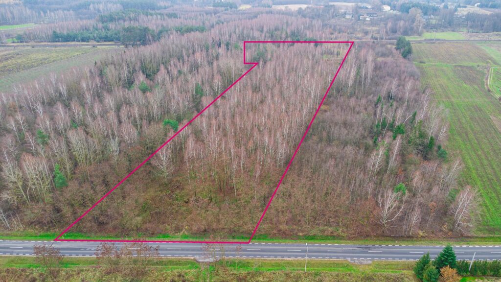 Działka 1,86 ha Suchostruga gmina Tarczyn - zdjęcie 2