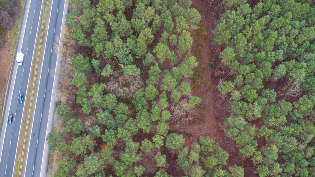 Piękna działka budowlana w Sękocin Las obok Łaz - zdjęcie 13