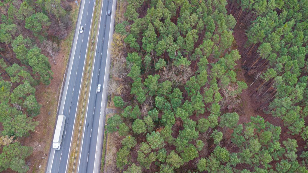 Piękna działka budowlana w Sękocin Las obok Łaz - zdjęcie 7