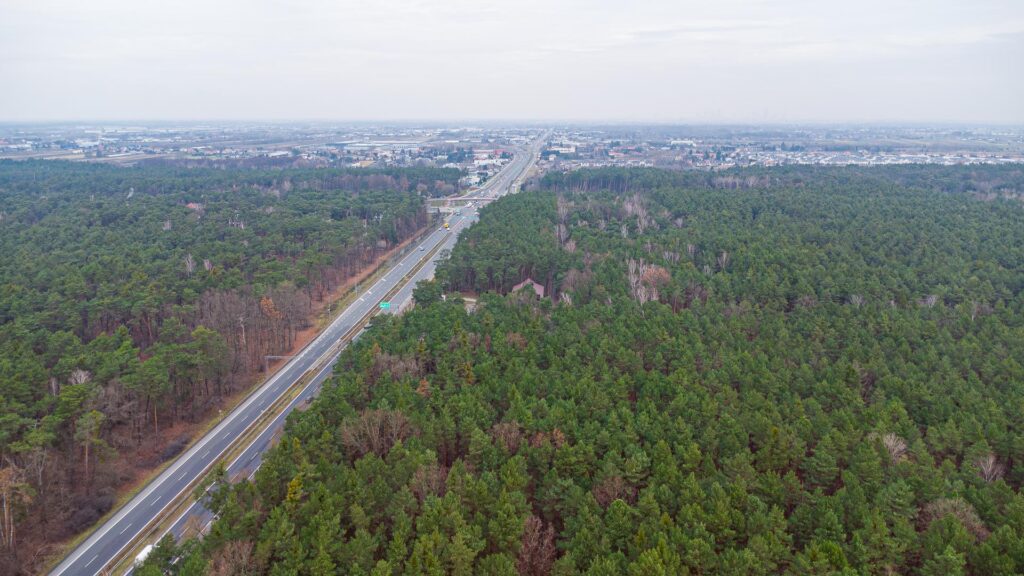 Piękna działka budowlana w Sękocin Las obok Łaz - zdjęcie 16