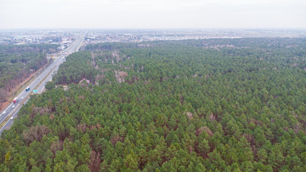 Piękna działka budowlana w Sękocin Las obok Łaz - zdjęcie 20