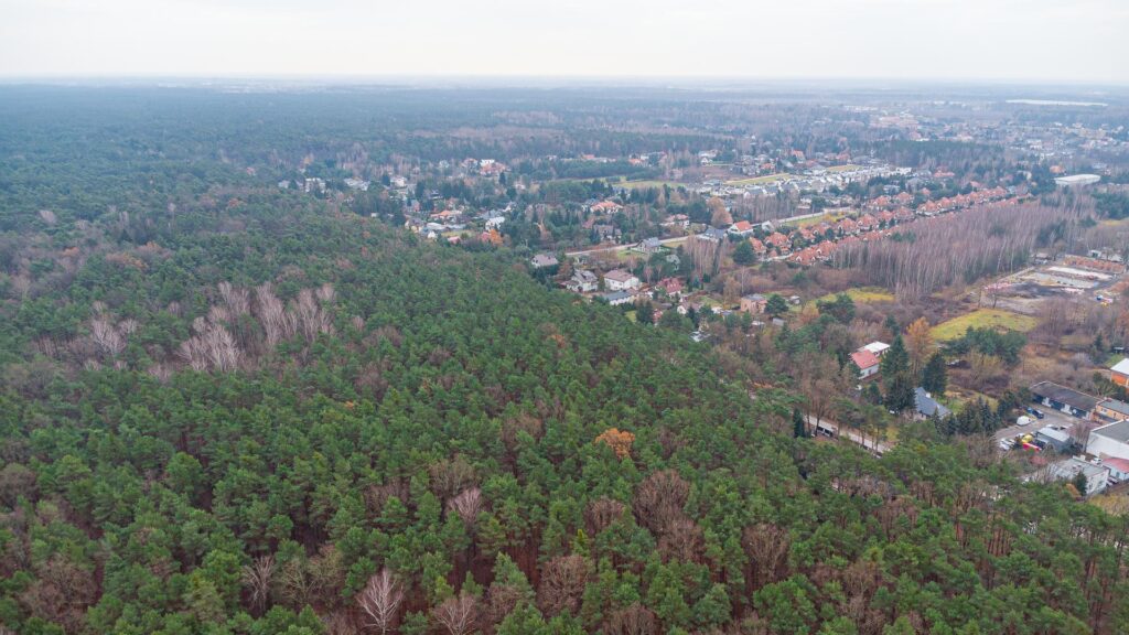 Piękna działka budowlana w Sękocin Las obok Łaz - zdjęcie 21