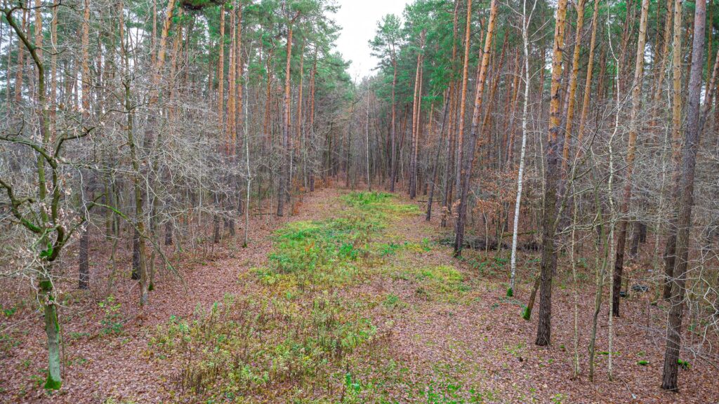 Piękna działka budowlana w Sękocin Las obok Łaz - zdjęcie 11