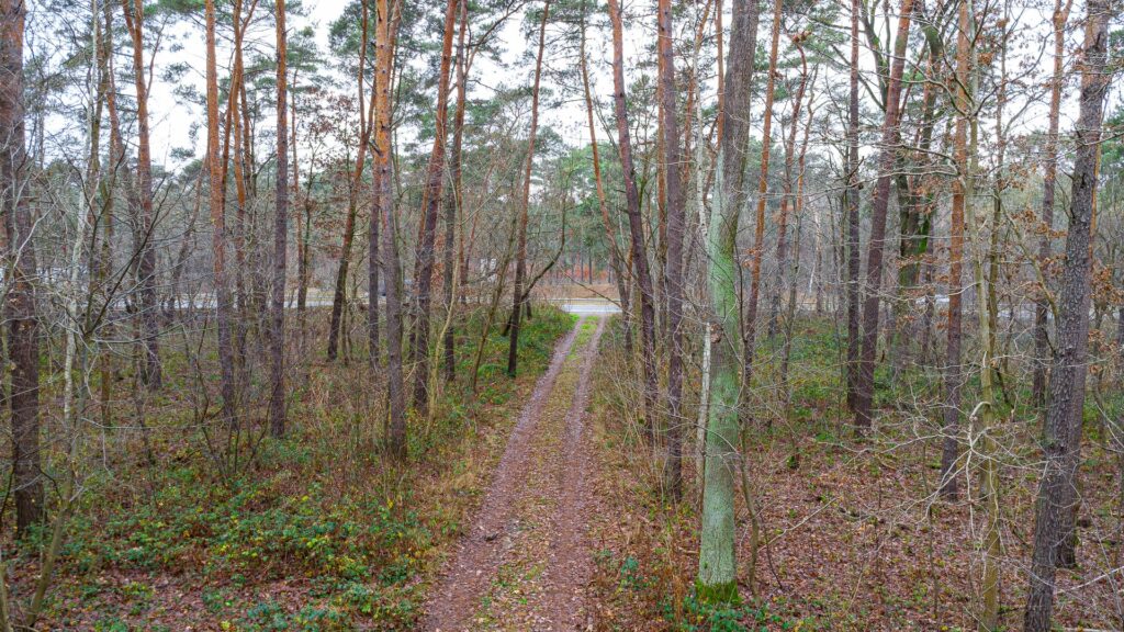 Piękna działka budowlana w Sękocin Las obok Łaz - zdjęcie 12