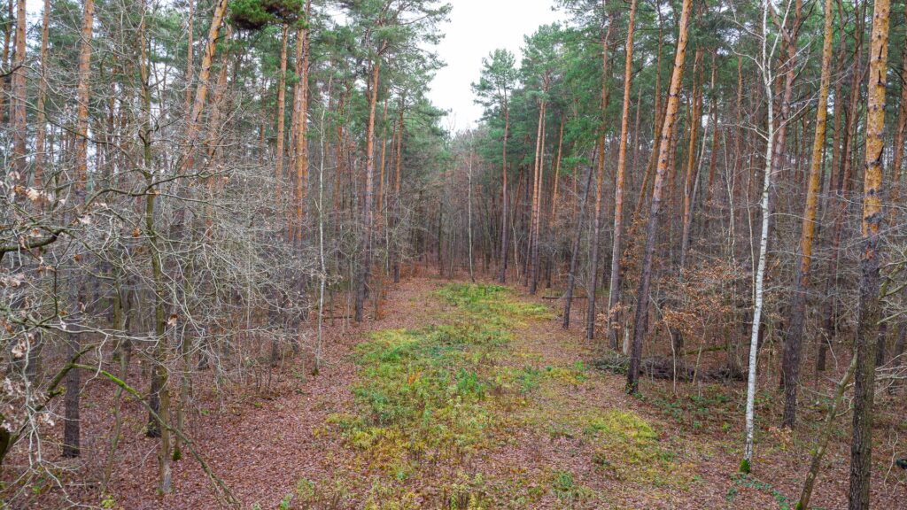 Piękna działka budowlana w Sękocin Las obok Łaz - zdjęcie 10