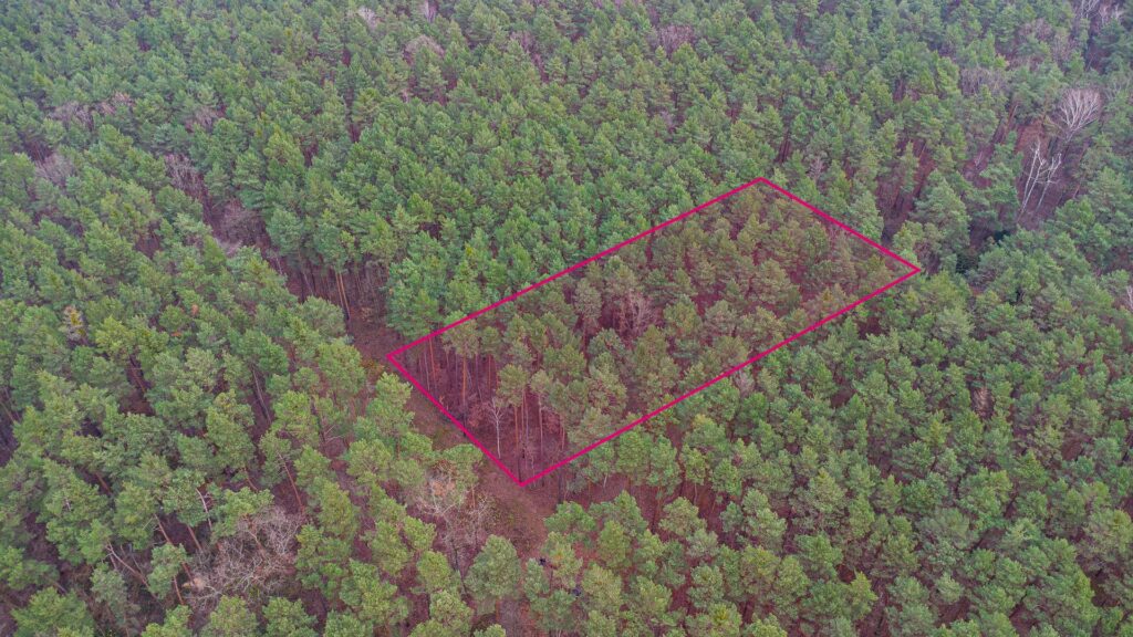 Piękna działka budowlana w Sękocin Las obok Łaz - zdjęcie 2