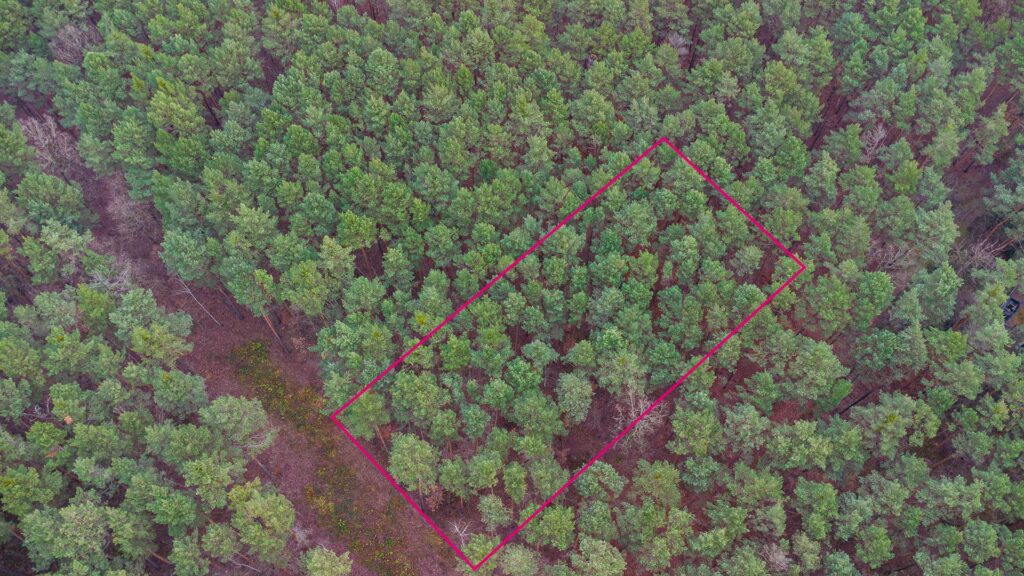 Piękna działka budowlana w Sękocin Las obok Łaz - zdjęcie 6