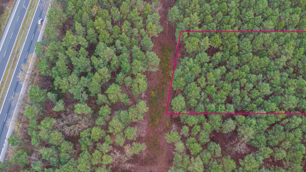 Piękna działka budowlana w Sękocin Las obok Łaz - zdjęcie 3