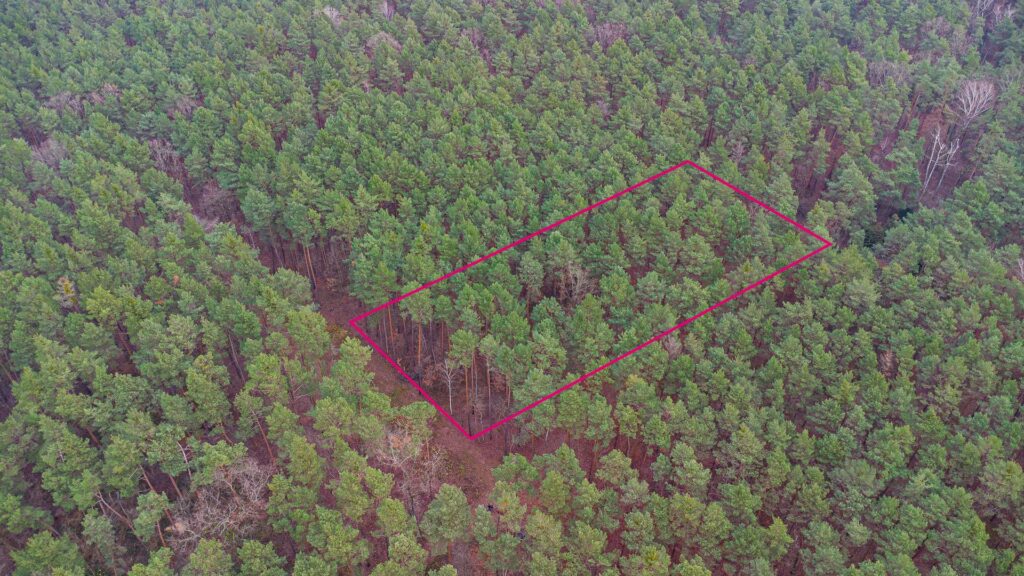 Piękna działka budowlana w Sękocin Las obok Łaz - zdjęcie 5