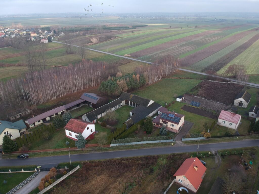 Nieruchomość z domem, gospodarstwem, lasem i polem - zdjęcie 36