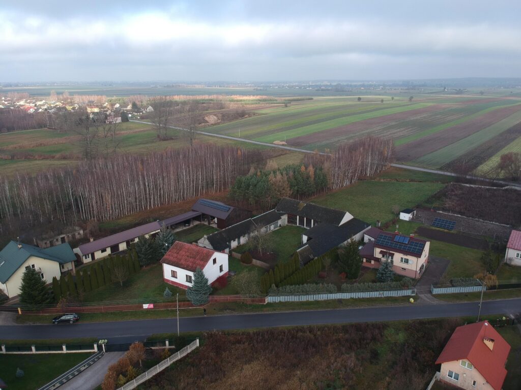 Nieruchomość z domem, gospodarstwem, lasem i polem - zdjęcie 45