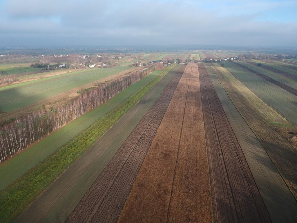 Nieruchomość z domem, gospodarstwem, lasem i polem - zdjęcie 19