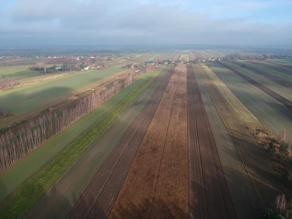 Nieruchomość z domem, gospodarstwem, lasem i polem - zdjęcie 46
