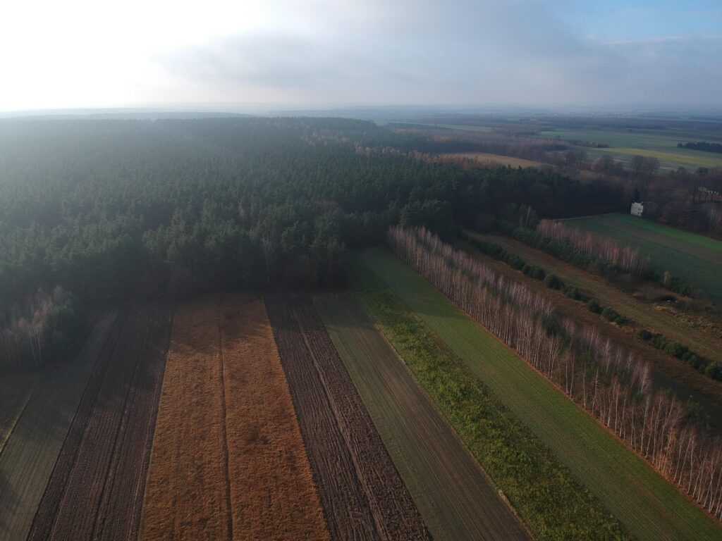 Nieruchomość z domem, gospodarstwem, lasem i polem - zdjęcie 47