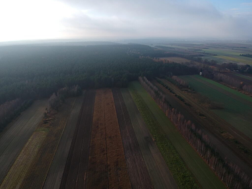 Nieruchomość z domem, gospodarstwem, lasem i polem - zdjęcie 48