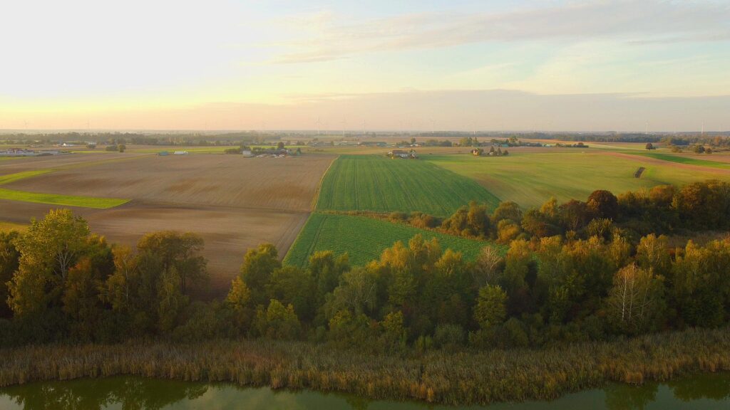 Siedlisko marzeń w Kaliszanach - zdjęcie 29
