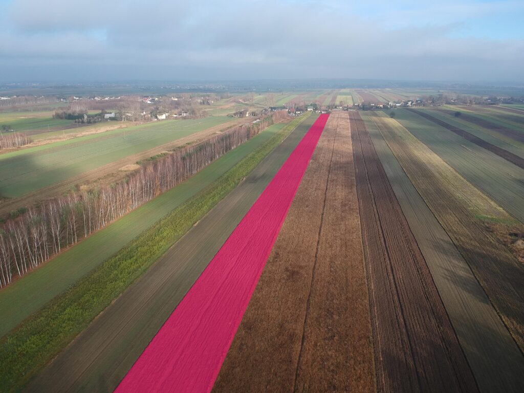 Nieruchomość z domem, gospodarstwem, lasem i polem - zdjęcie 17
