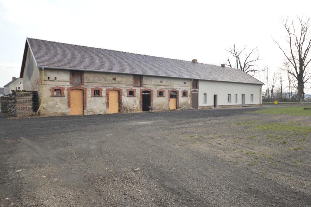 Dzialka inwestycyjno-budowlana w Dębiu - zdjęcie 6