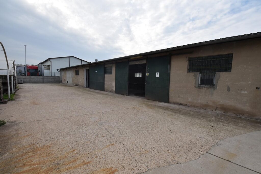 Jedna lub dwie hale - Magazny - zdjęcie 1