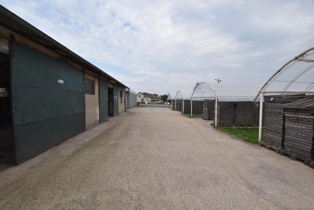 Jedna lub dwie hale - Magazny - zdjęcie 2