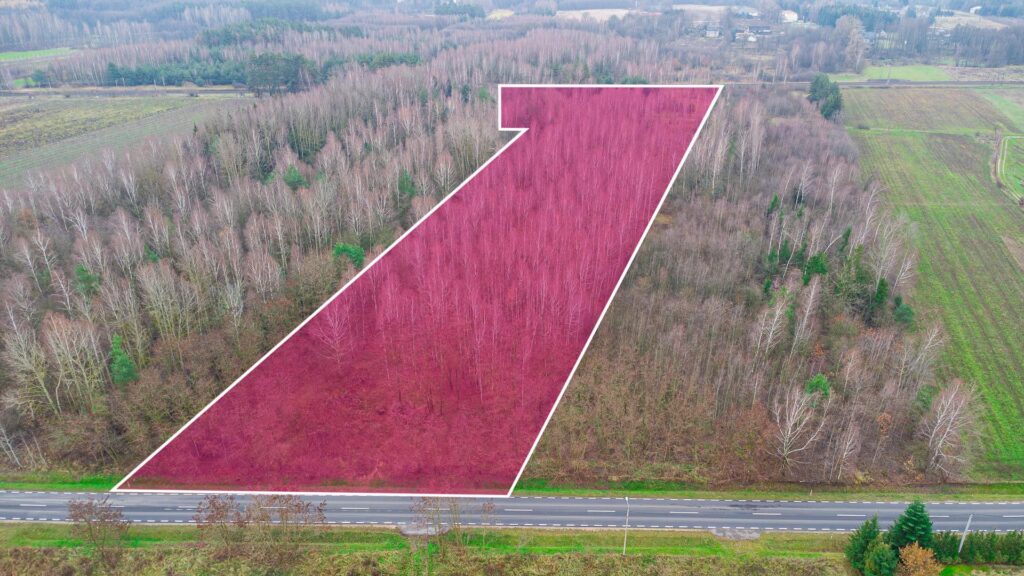 Działka 1,86 ha Suchostruga gmina Tarczyn - zdjęcie 1