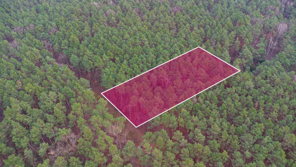 Piękna działka budowlana w Sękocin Las obok Łaz - zdjęcie 1