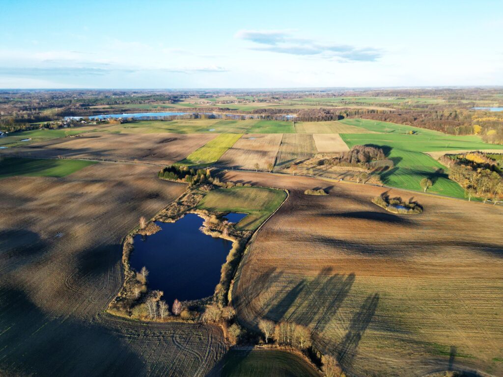 Grunty na sprzedaż – Idealne pod stawy rybne! - zdjęcie 4