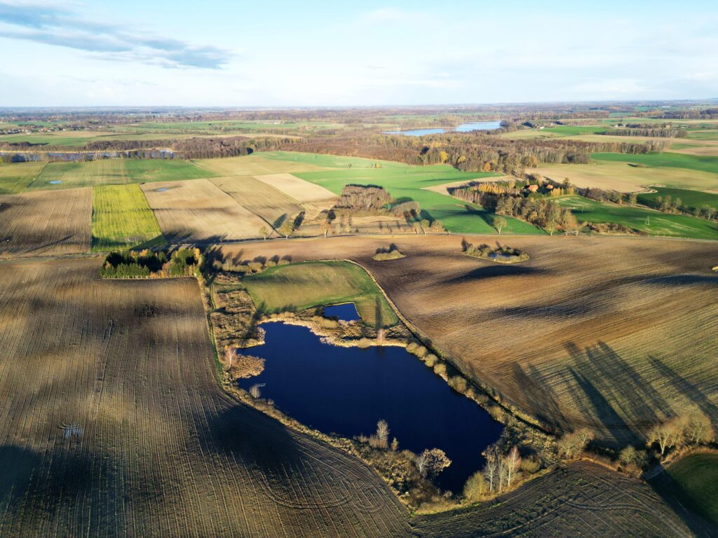 Grunty na sprzedaż – Idealne pod stawy rybne! - zdjęcie 5