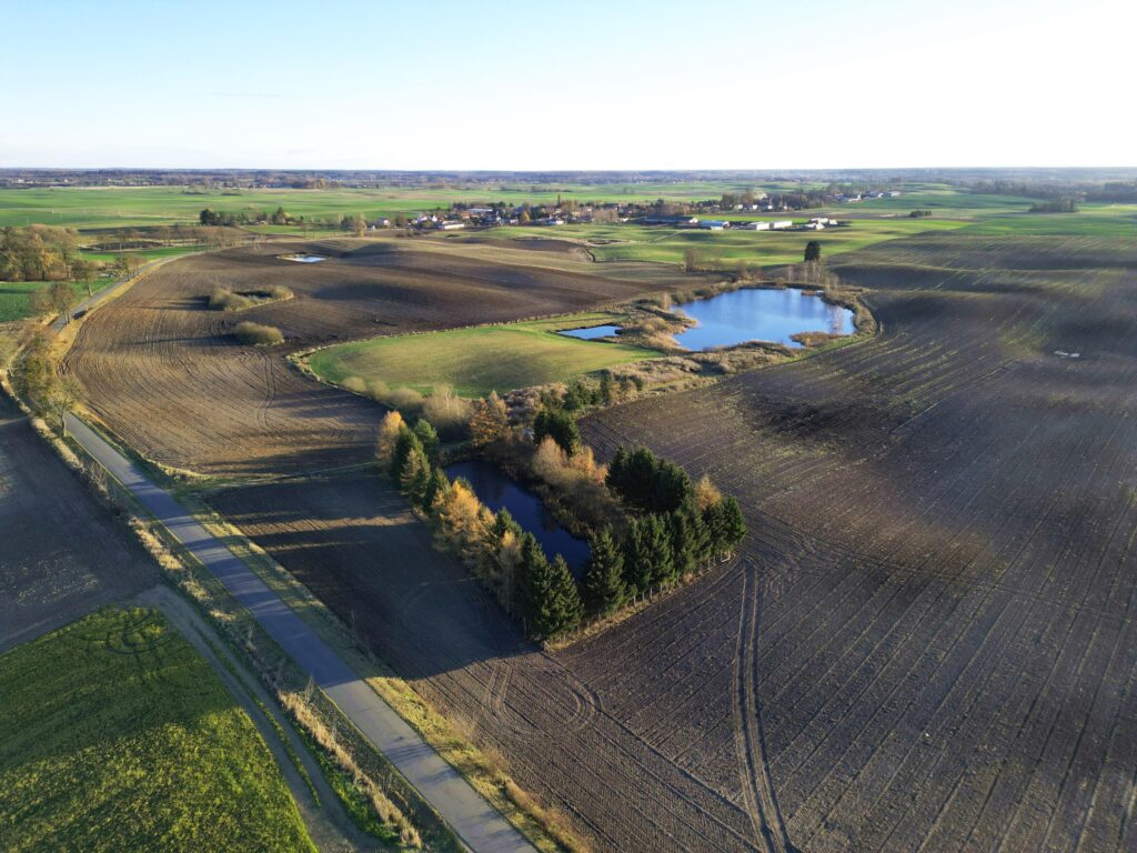 Grunty na sprzedaż – Idealne pod stawy rybne! - zdjęcie 1