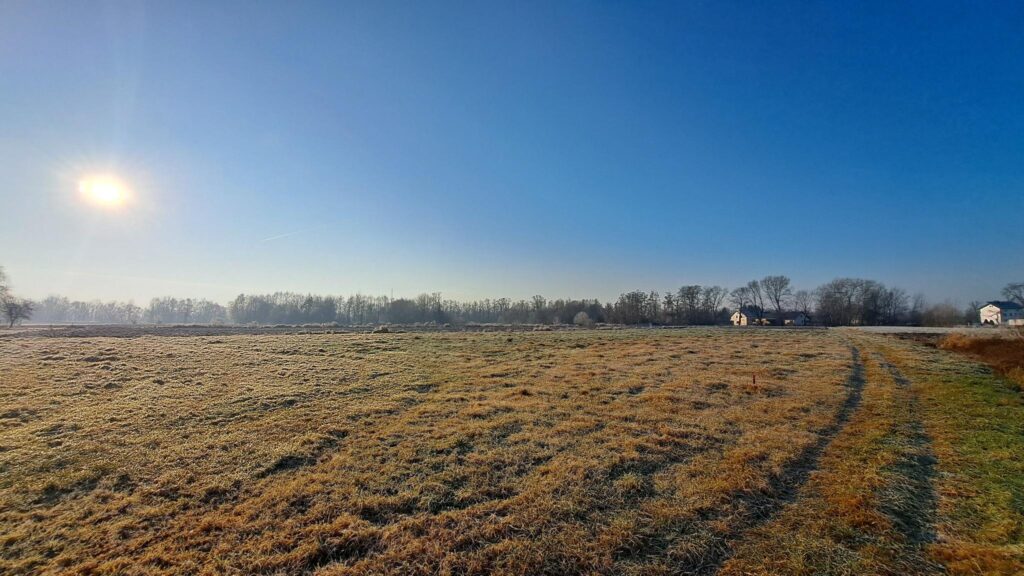 15 arowa działka pod dom w Przylasku Rusieckim - zdjęcie 7