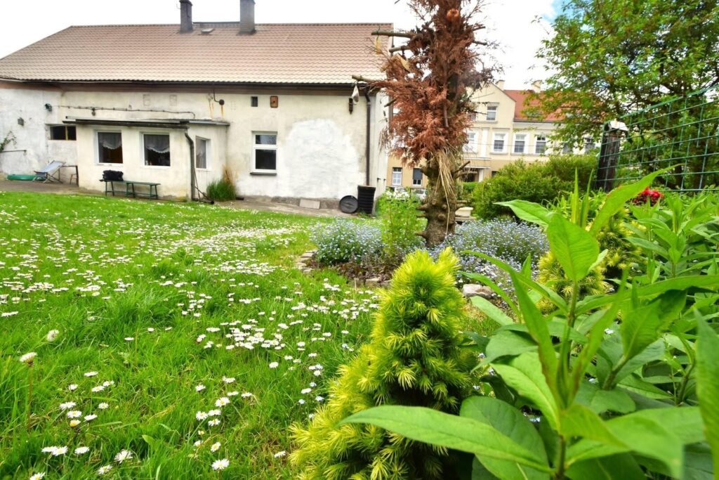 Duży dom piętrowy z ogrodem - zdjęcie 2