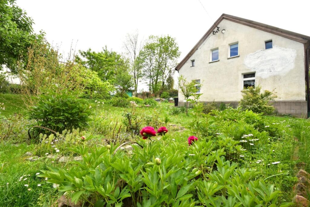 Duży dom piętrowy z ogrodem - zdjęcie 3