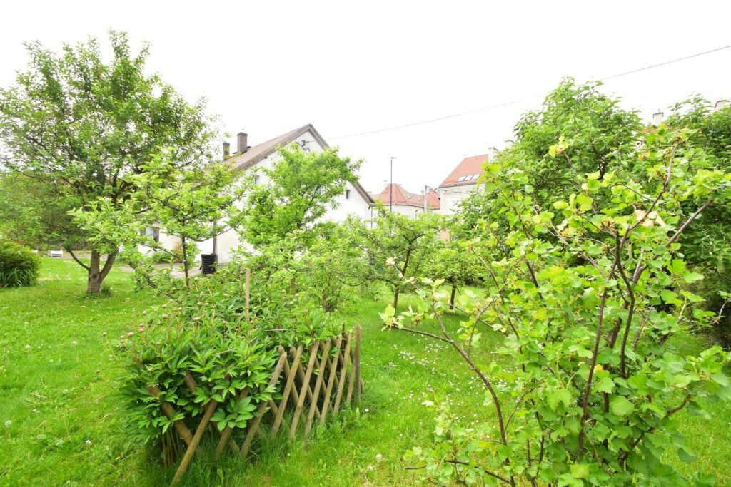 Duży dom piętrowy z ogrodem - zdjęcie 4