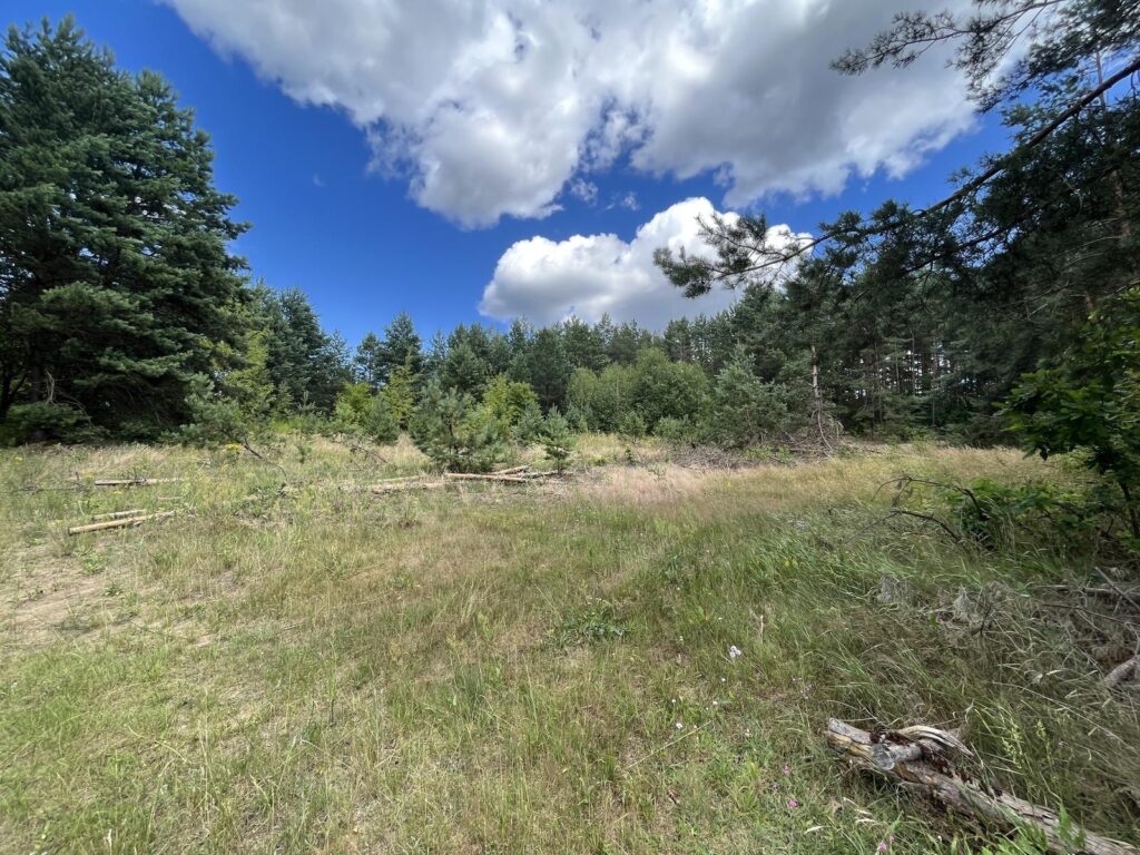 Działka na Twój wymarzony dom w otulinie lasu - zdjęcie 2