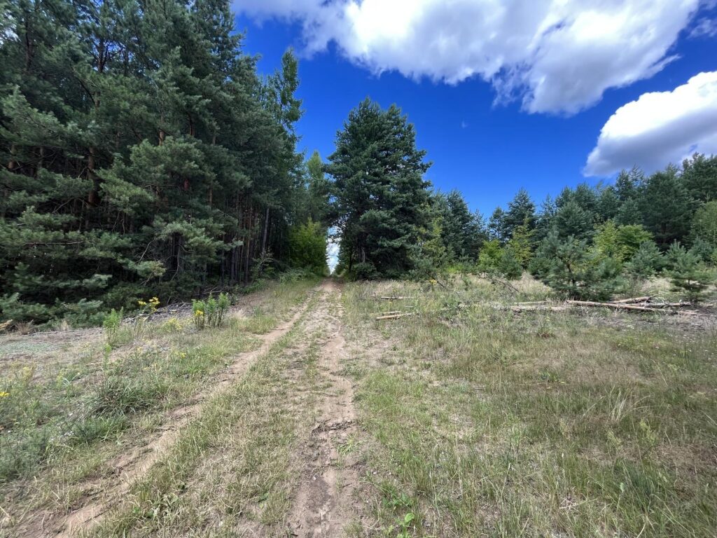 Działka na Twój wymarzony dom w otulinie lasu - zdjęcie 3