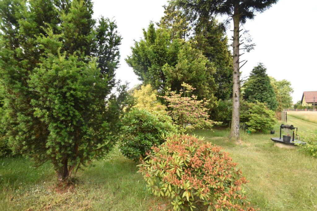 Dom z dużą działką, garażem i pom. gospodarczymi. - zdjęcie 12