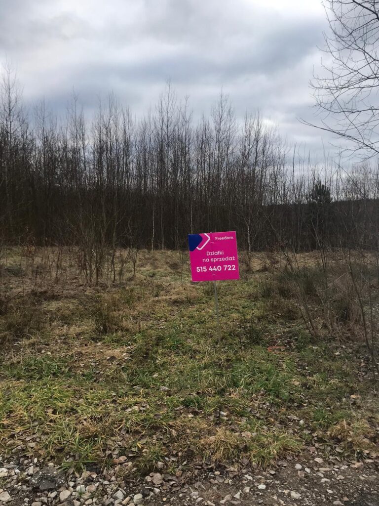 Działki budowlane Zakrzów gmina Białaczów. - zdjęcie 3