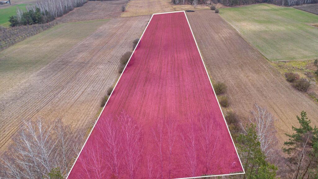 Piękna działka 1,05 ha Chudolipie gm. Mszczonów - zdjęcie 3