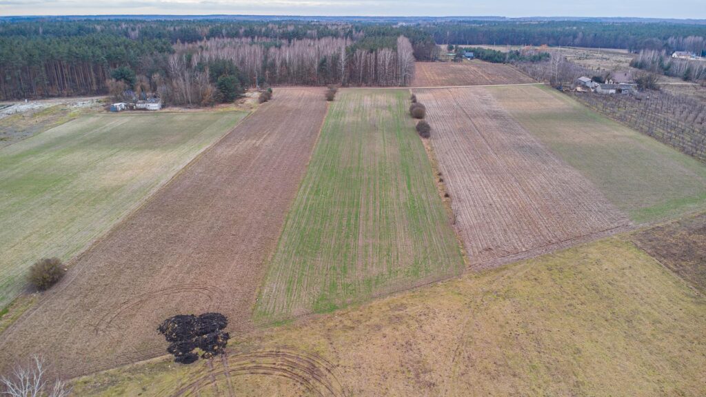 Piękna działka 1,05 ha Chudolipie gm. Mszczonów - zdjęcie 5